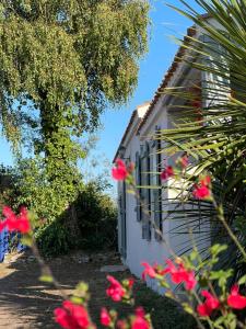 Maisons de vacances Le Parc des Mimosas : photos des chambres