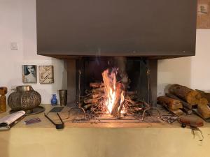 Maisons de vacances La maison de Mado et sa cabane dans les arbres : photos des chambres