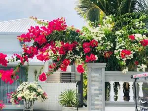 Bougain Villa Gemanafushi - Kondey