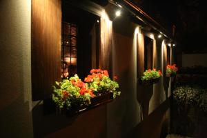 B&B Galerija Two Rooms