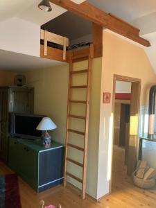 Vineyard Cottage Slanc