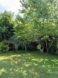 Maisons de vacances La Petite Bourdotte : photos des chambres