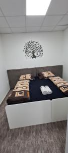 Centrum Apartman LEYLA II