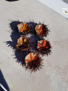 Stanza privata con giardino