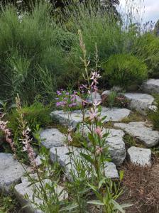 Apartment with Lake View