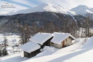 Two-Bedroom Chalet room in Baita Hanzel & Gretel
