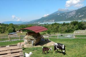 Chalets de Serre Poncon : photos des chambres