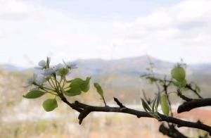 Casas do Paço - Casas de Férias