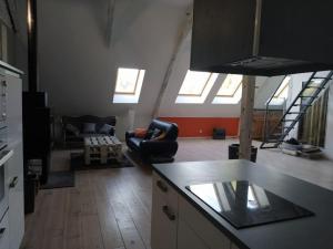 Appartements Loft au calme dans une ancienne grange bearnaise : photos des chambres