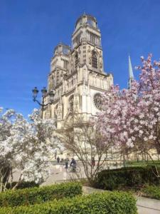 Appartements The GARDEN, proche Bord de Loire : Studio