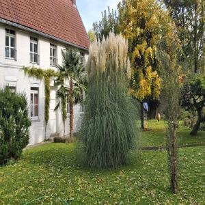 Maisons de vacances Gite La Riviera : photos des chambres