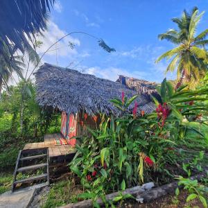 Hakuna Matata Ecolodge