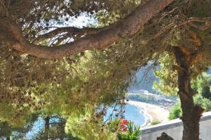 Villa Takis on Pelekas beach, Apartment B with sea view