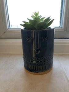 Bray House - Perfect for Large Groups