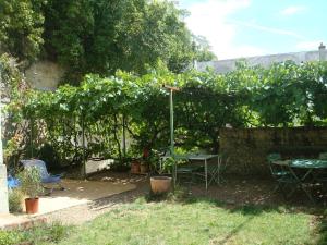 B&B / Chambres d'hotes La Tonnelle de Vouvray : photos des chambres