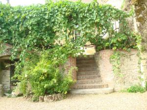 B&B / Chambres d'hotes La Tonnelle de Vouvray : photos des chambres