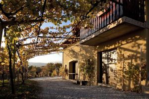 Vineyard Cottage Brodaric