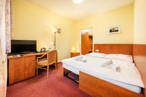 Economy Room With Sofa Bed room in Záviš z Falkenštejna