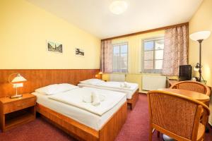 Double or Twin Room room in Záviš z Falkenštejna
