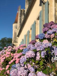 Maisons de vacances Le Petit Poirier : photos des chambres