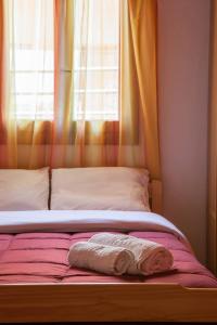 Pink house