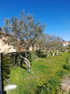 Agriturismo la stragola