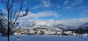 Traumhafte Ferienwohnung im alpinen Stil in Traumlage