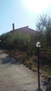 Matilda's House img20