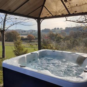 Maisons de vacances Les Chalets de Barruerot - JACUZZI SPA Privatif - Piscine - Chalet Meleze : photos des chambres