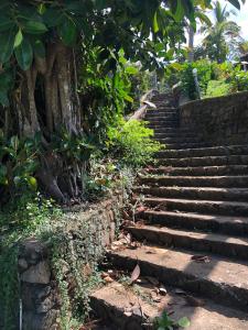 Weligama Resort