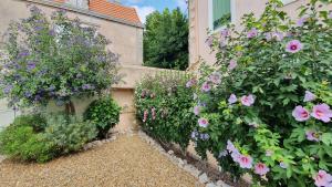 Maisons de vacances Gites 