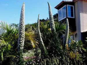 Apartamento MAR Y TEIDE - Sauzal