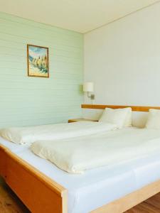 Comfort Double Room with Mountain View room in Hotel Gletscherblick