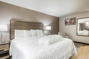  Premium King Room Smoke Free (Upgraded Bedding and Snack Box) room in Red Roof Inn PLUS+ & Suites Savannah – I-95