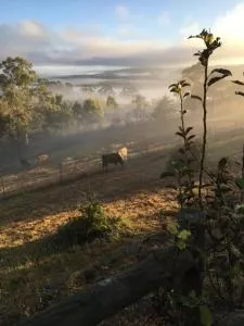 Springmead B&B - Glen Alice