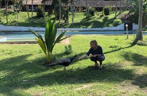 Weligama Resort