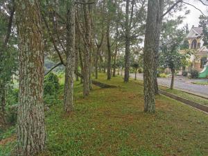 Villa Kota Bunga 2 kamar harga budget