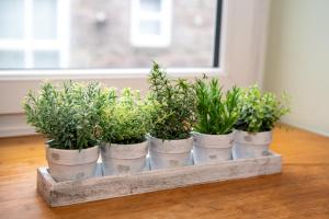 Jays Apartment Aberdeen