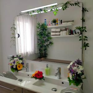 Alojamiento PLAZA CASCO HISTORICO