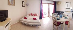 Appartements T1 vue mer bord de mer Ajaccio : photos des chambres