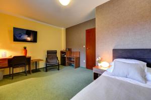 Single Room room in Penzion Hermes