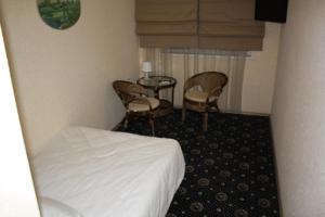 Standard Single Room room in Hotel Timosha