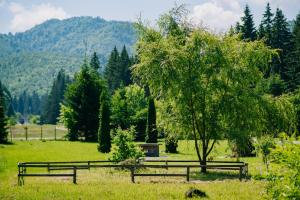 Motel Valea Zanelor