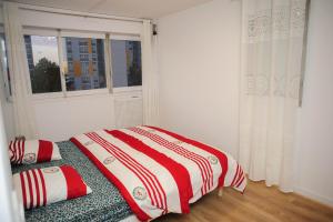 New : Grand T4 Cosy et tout équipé