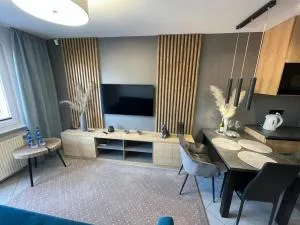 Apartament Bielik - 维塞乌卡