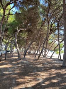 Bellamar 23. Apartamento con piscina