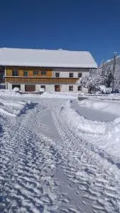 Apartment Armstrong - Grafendorf