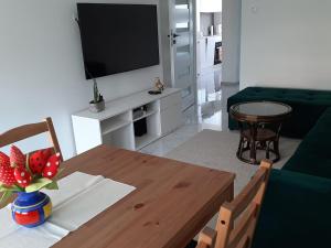 Apartament na 9. piętrze