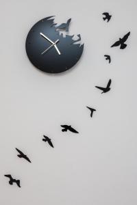 Bagi apartment in old town center