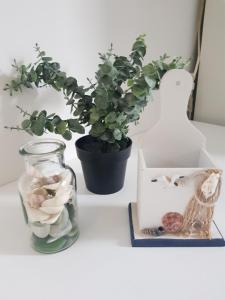Apartman Alka 